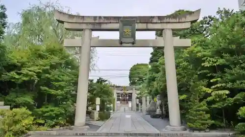 晴明神社の鳥居