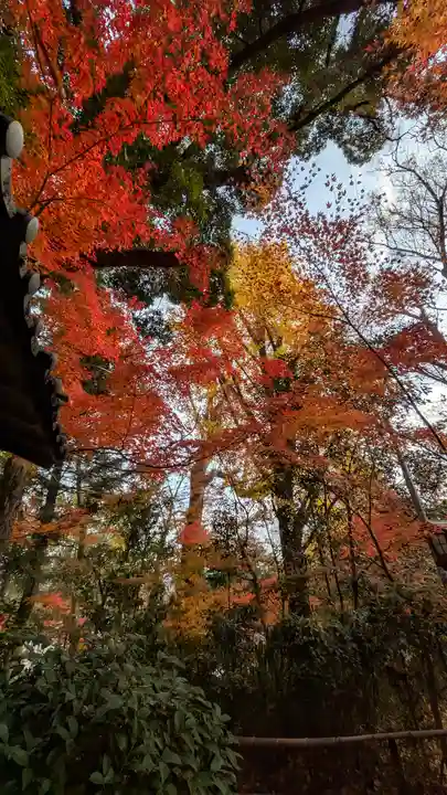 長岡天満宮(京都府)
