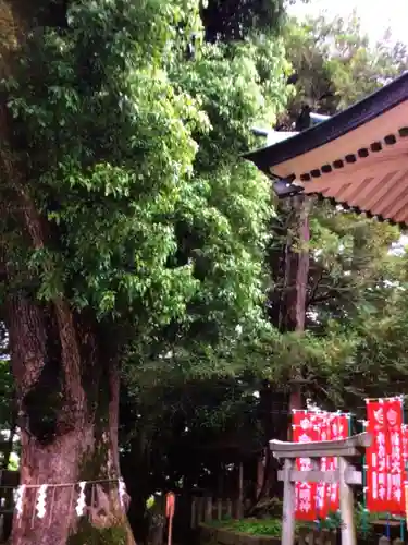 諏訪神社(東京都)