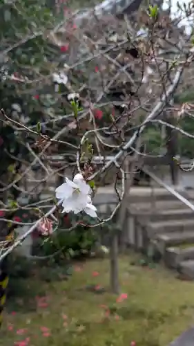 興聖寺(京都府)