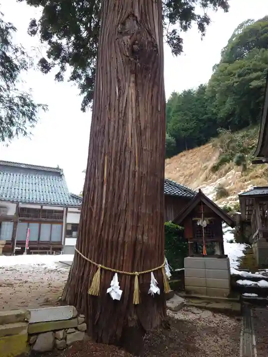 須我神社(島根県)