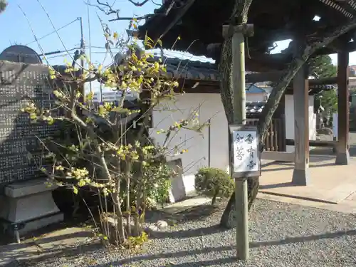 妙法寺(神奈川県)