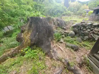兼宮神社(群馬県)