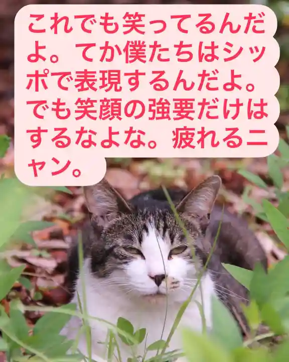 専念寺(大阪府)