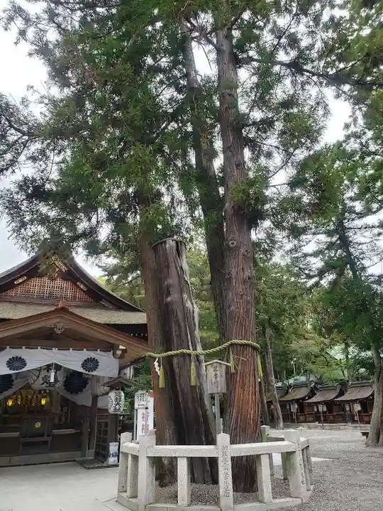 建部大社(滋賀県)