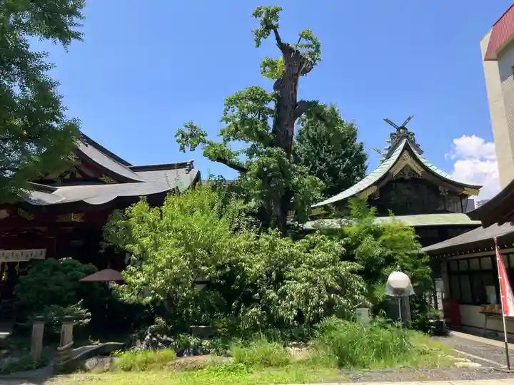 素盞雄神社(東京都)