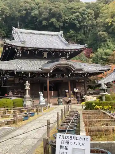 三室戸寺(京都府)