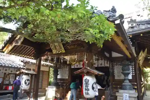 白雲神社の建物その他