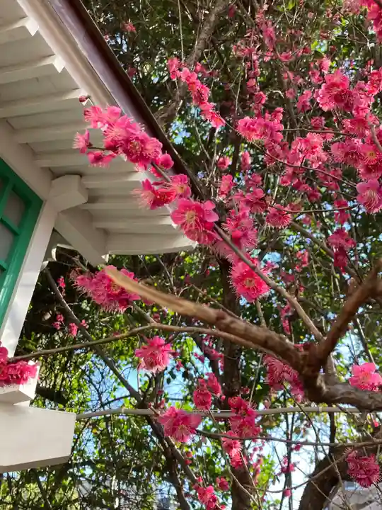 田無神社の自然