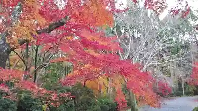 常照寺のその他建物