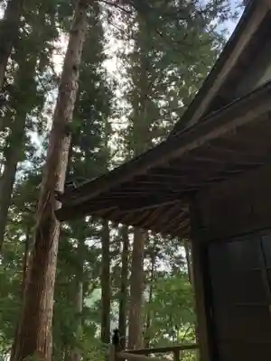 熊野神社(千葉県)