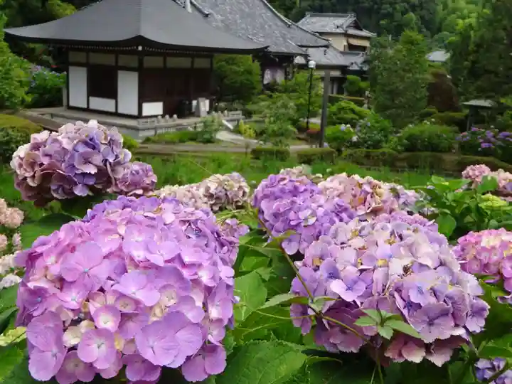 天台宗 長窪山 正覚寺の自然