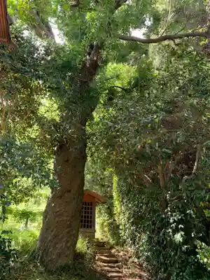 西福寺(千葉県)