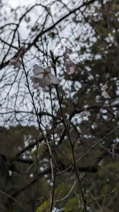岡崎神社(京都府)