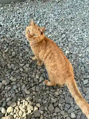 宝泉寺(神奈川県)