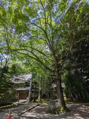 宇都宮二荒山神社の自然