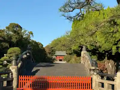 鶴岡八幡宮の景色