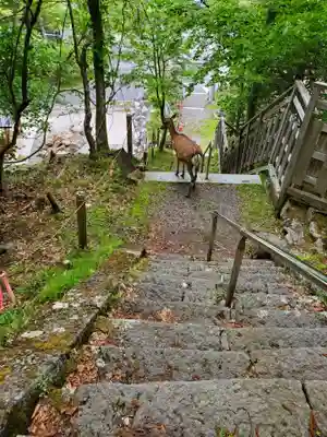 湯元温泉神社(栃木県)