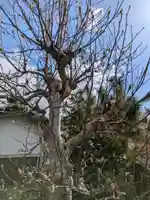 正行寺(岐阜県)