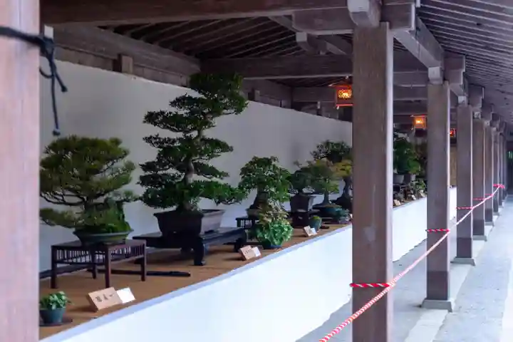 彌彦神社の自然