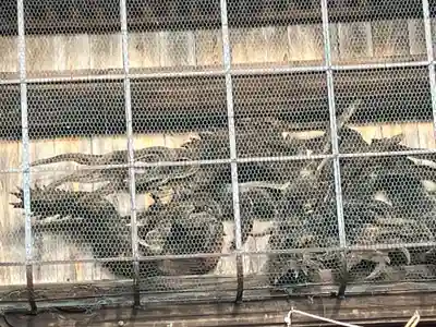 白山神社(木曽川町黒田)の芸術