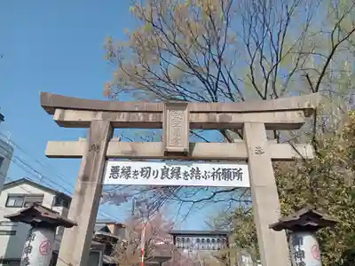 安井金比羅宮の鳥居