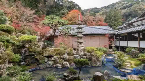 興聖寺（興聖寶林禅寺）の塔
