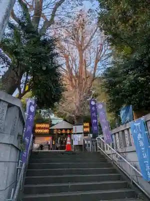 幡ケ谷氷川神社(東京都)