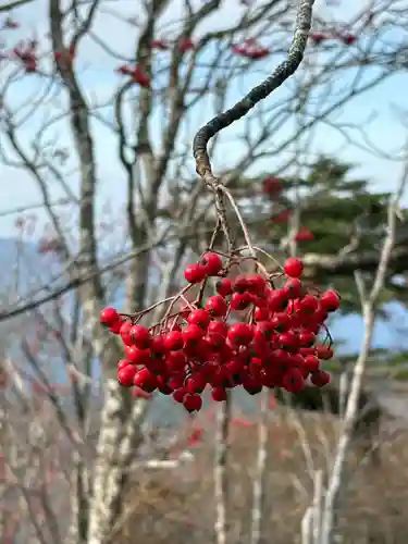 劔山本宮宝蔵石神社(徳島県)