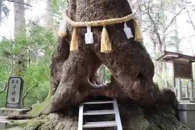 笠森寺のその他建物