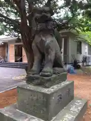 大谷地神社の狛犬