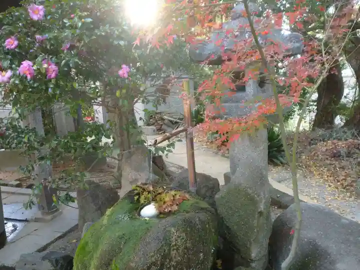 紅葉八幡宮の手水舎