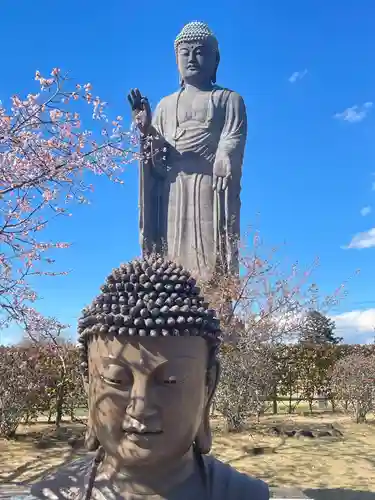 東本願寺本廟 牛久浄苑（牛久大仏）の仏像