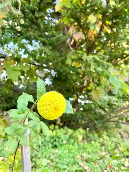 潮見ヶ岡神社の自然