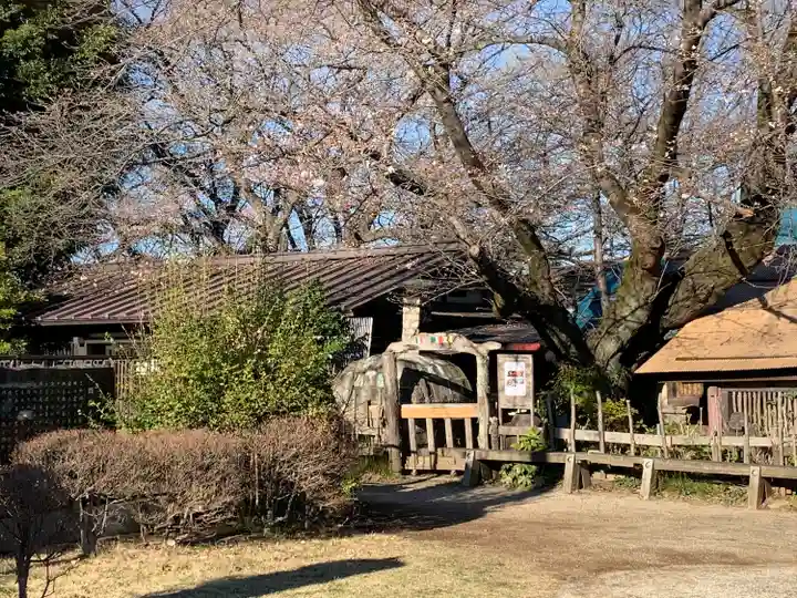 慈恩寺(埼玉県)