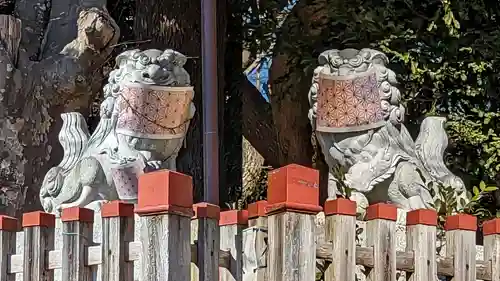 麻賀多神社の狛犬