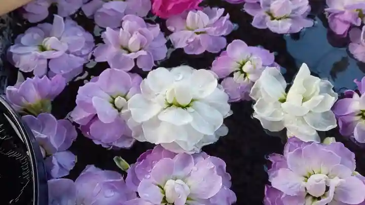 阿邪訶根神社(福島県)