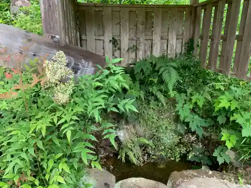 八百比丘尼堂(栃木県)