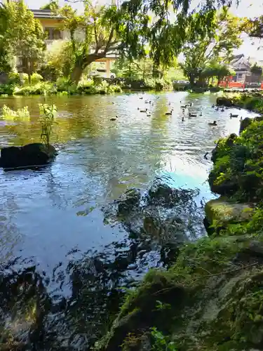 富士山本宮浅間大社の庭園