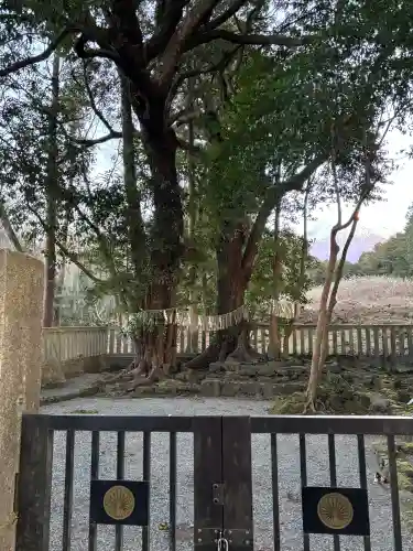 山宮浅間神社の{uncategorized: "未分類", other: "その他", undefined: "問題あり", building: "その他建物", grave: "お墓", sacred_gate: "鳥居", guardian: "狛犬", statue: "像", buddha: "仏像", history: "歴史", nature: "自然", garden: "庭園", animal: "動物", pagoda: "塔", temizu: "手水舎", mountain_gate: "山門・神門", sanctuary: "本殿・本堂", subordinate: "末社・摂社", art: "芸術", scenery: "景色", jizo: "地蔵", ema: "絵馬", goshuin: "御朱印", omikuji: "おみくじ", items: "授与品その他", amulet: "お守り", goshuincho: "御朱印帳", eats: "食事", festival: "お祭り", votive_dance: "神楽", shichigosan: "七五三参", wedding: "結婚式", experience: "体験その他", initially: "初詣", around: "周辺", anti_infection: "感染症対策"}