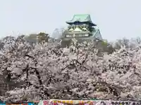 豊國神社の周辺