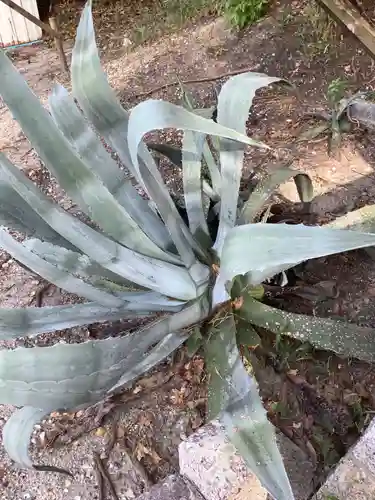 貴船社（一社3）の自然