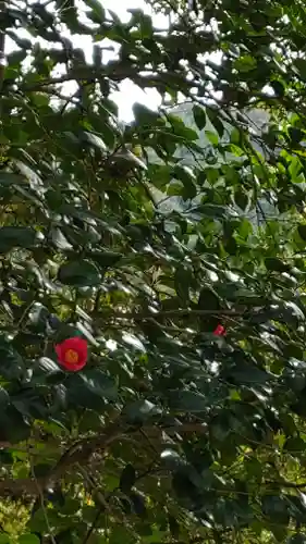 石鎚神社 口之宮 本社の自然