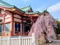 千住神社の{uncategorized: "未分類", other: "その他", undefined: "問題あり", building: "その他建物", grave: "お墓", sacred_gate: "鳥居", guardian: "狛犬", statue: "像", buddha: "仏像", history: "歴史", nature: "自然", garden: "庭園", animal: "動物", pagoda: "塔", temizu: "手水舎", mountain_gate: "山門・神門", sanctuary: "本殿・本堂", subordinate: "末社・摂社", art: "芸術", scenery: "景色", jizo: "地蔵", ema: "絵馬", goshuin: "御朱印", omikuji: "おみくじ", items: "授与品その他", amulet: "お守り", goshuincho: "御朱印帳", eats: "食事", festival: "お祭り", votive_dance: "神楽", shichigosan: "七五三参", wedding: "結婚式", experience: "体験その他", initially: "初詣", around: "周辺", anti_infection: "感染症対策"}
