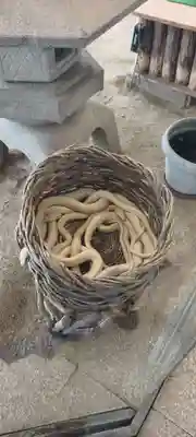 岩国白蛇神社(山口県)