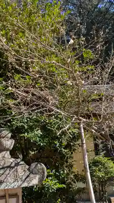 長尾天満宮(京都府)