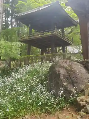 鳳仙寺(群馬県)