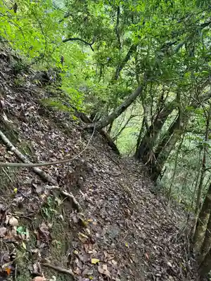 聖神社(高知県)