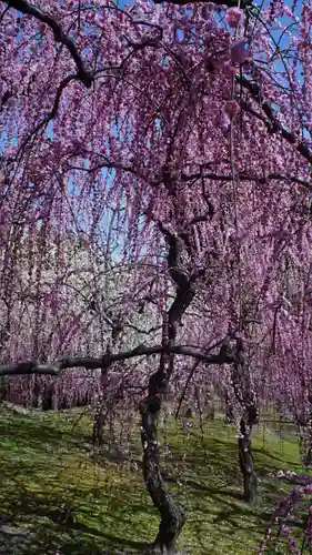 城南宮(京都府)