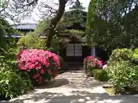 仁寿院(東京都)